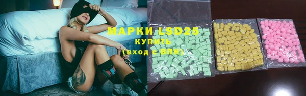 индика Михайлов