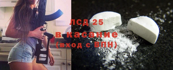крисы Надым