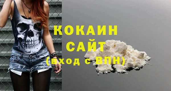 крисы Надым
