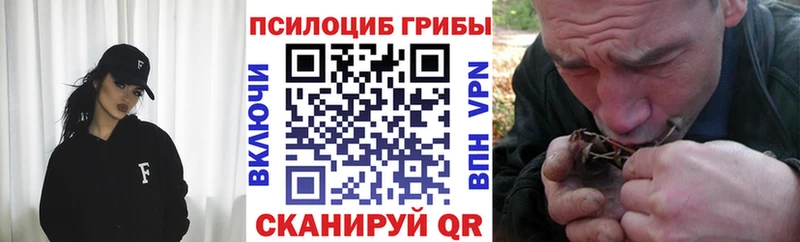 Псилоцибиновые грибы Cubensis  МЕГА как войти  Кораблино  наркота 